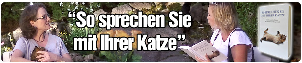 So sprechen Sie mit Ihrer Katze
