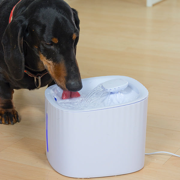 Starlyf Pet Fountain Wasserspender für Haustiere