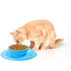 Gamelle en silicone "Pet Bowl"