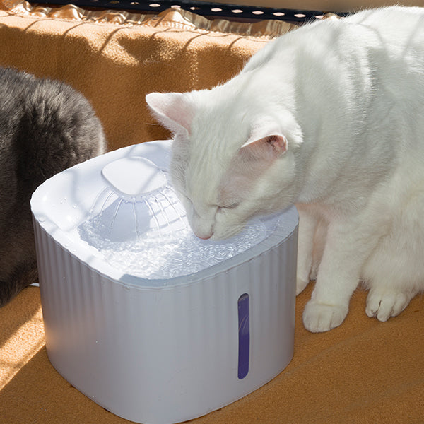 Starlyf Pet Fountain Wasserspender für Haustiere