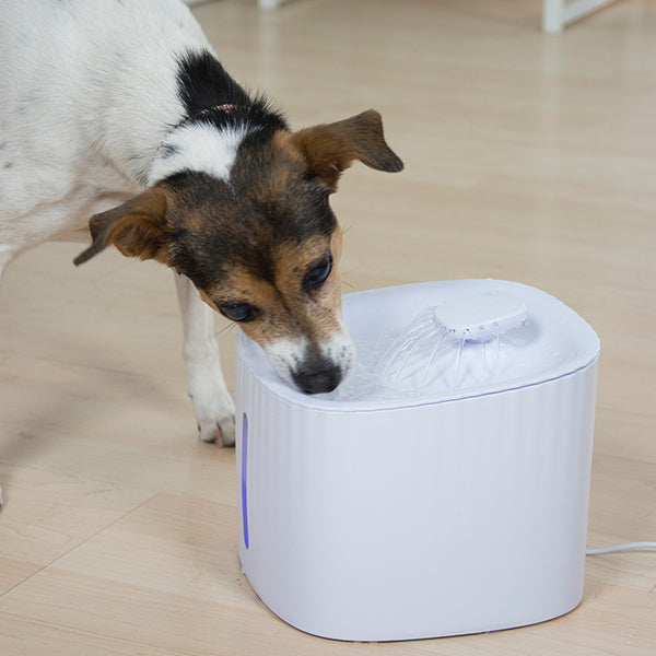 Starlyf Pet Fountain Wasserspender für Haustiere