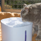 Starlyf Pet Fountain Wasserspender für Haustiere