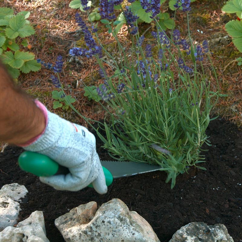 Starlyf Root Digger Multi-pelle de jardin 4 en 1
