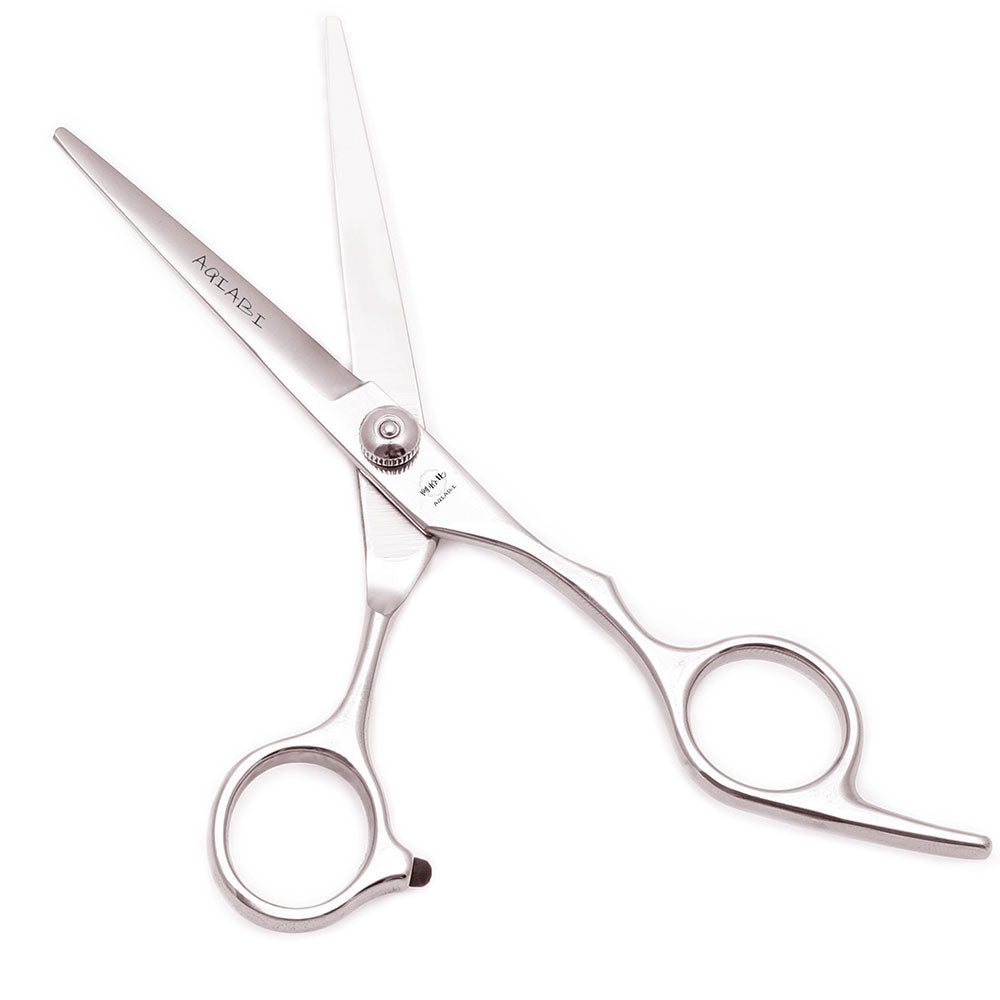 Set de ciseaux coupe-cheveux professionnels 2 pces