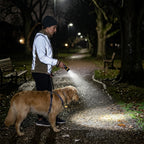 KODAK Taschenlampe mit dem Hund im Park spazieren