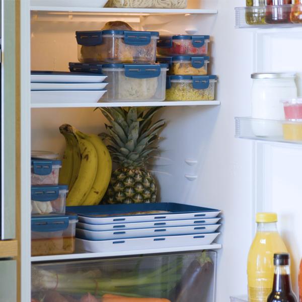 Livington Flex & Fresh Frischhalteplatten im Kühlschrank