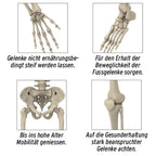 Medosan Medoflex Gel für Gelenke