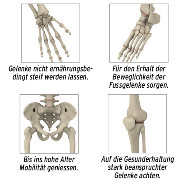 Medosan Medoflex Gel für Gelenke