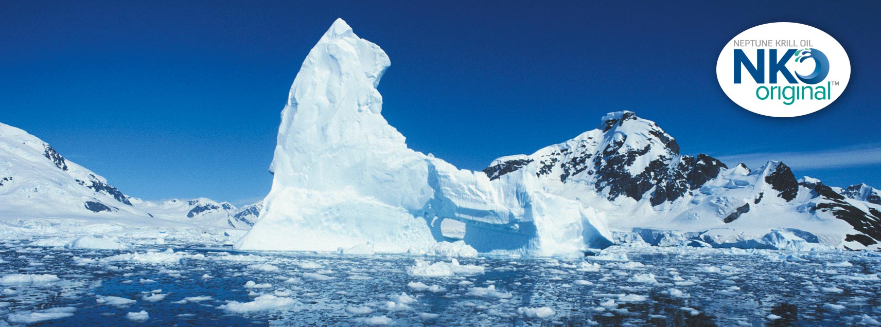 Krillöl Kapseln aus der Antarktis