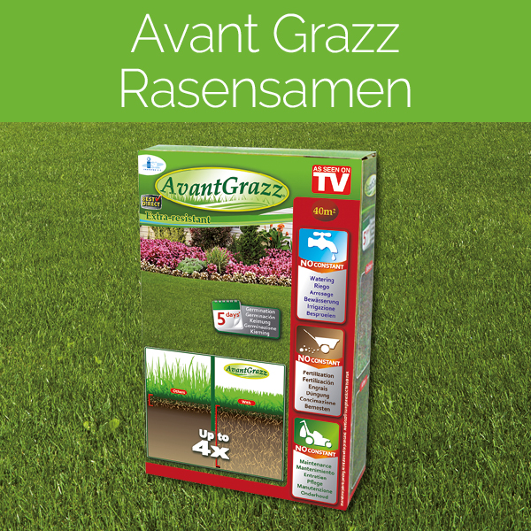 Avant Grazz Rasensamen