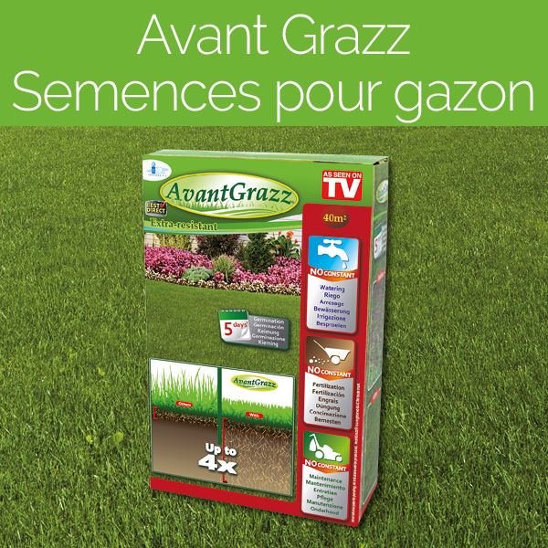 Avant Grazz Semences pour gazon