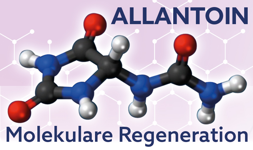 Allantoin Molekühl