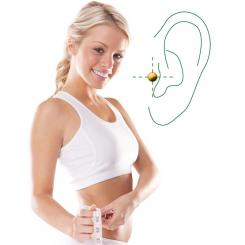 zerodiet PLUS (bio-aimant plaqué or, 2 pièces) 