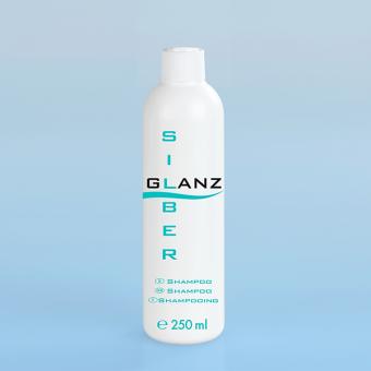 Shampooing brillance argent, 250 ml 